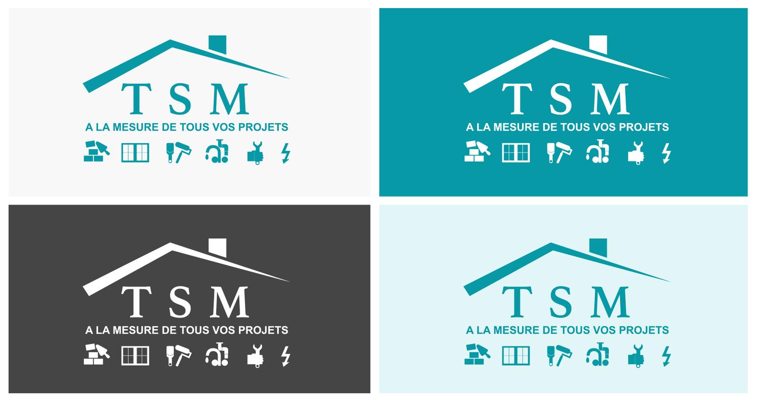 déclinaison de logos TSM