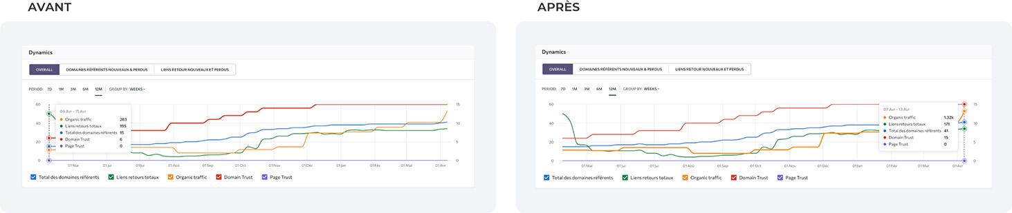 Netlinkg performance seo