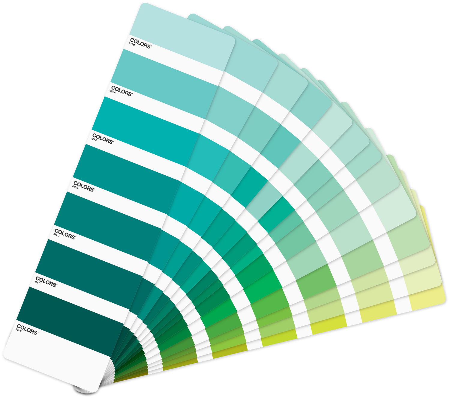 Palette pantone, choix des couleurs charte graphique