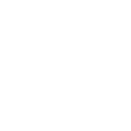 SEO MW-Concept
