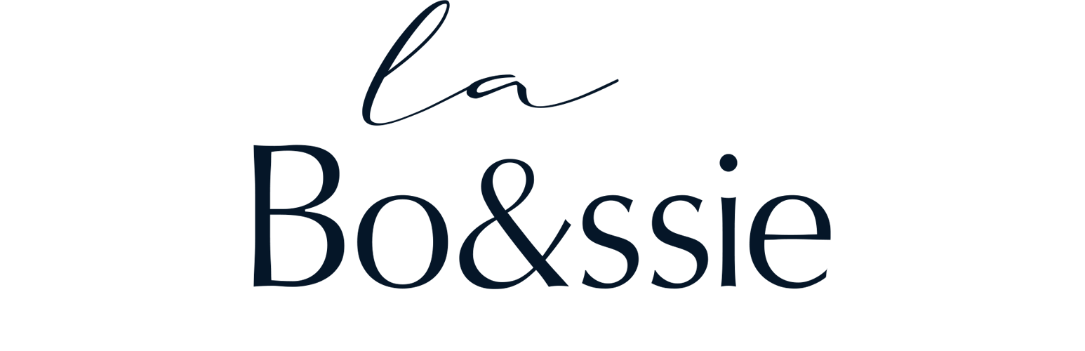 Logo La Bo&ssie